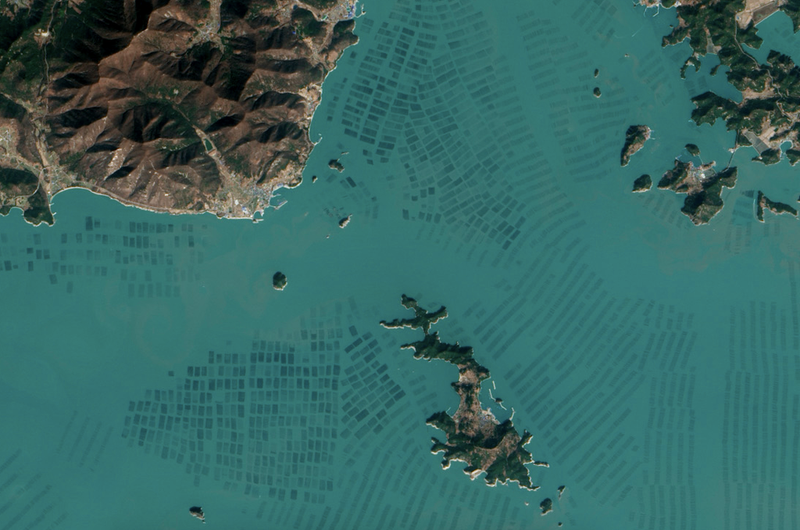 Illustration for article titled El extraño paisaje de las granjas de algas de Corea, desde el espacio